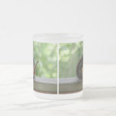 Eichhörnchen, das E-Gitarre spielt Mattglastasse (Mittel)