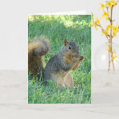 Eichhörnchen, das Eicheln isst Karte (Gelbe Blume)