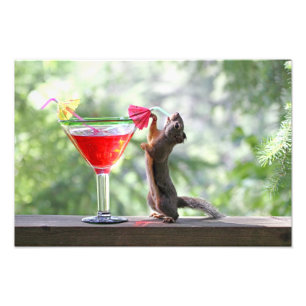 Eichhörnchen, das ein Cocktail an der glückliche Fotodruck