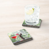 Eichhörnchen, das ein Cocktail an der glücklichen Getränkeuntersetzer (Rechte Seite)