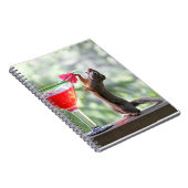 Eichhörnchen, das ein Cocktail an der glücklichen Notizblock (Rechte Seite)