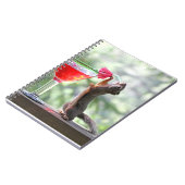 Eichhörnchen, das ein Cocktail an der glücklichen Notizblock (Linke Seite)