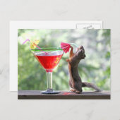 Eichhörnchen, das ein Cocktail an der glücklichen Postkarte (Vorne/Hinten)