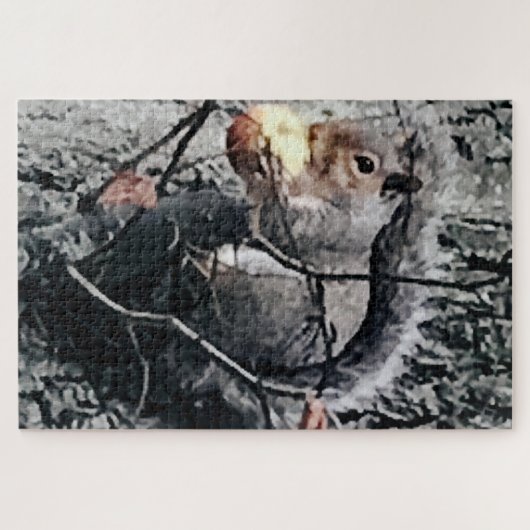 Eichhörnchen, das ein großes Puzzle von Apfel 20 x (Horizontal)