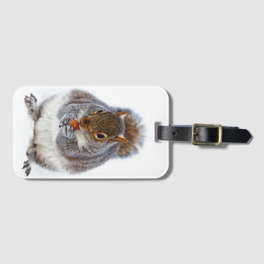 Eichhörnchen, das ein Nut-Foto isst Gepäckanhänger (Vorderseite (Horizontal))