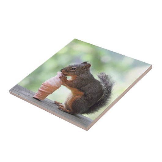 Eichhörnchen, das eine Eistüte isst Fliese (Seite)