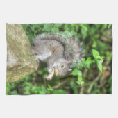 Eichhörnchen, das eine Erdnuss isst Geschirrtuch (Horizontal)