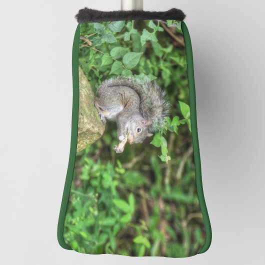 Eichhörnchen, das eine Erdnuss isst Golf Headcover (Rotieren 90)