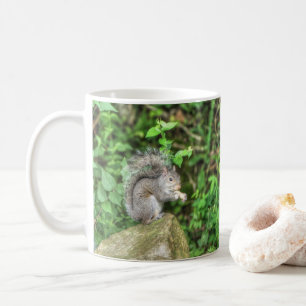 Eichhörnchen, das eine Erdnuss isst Kaffeetasse