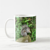 Eichhörnchen, das eine Erdnuss isst Kaffeetasse (Links)