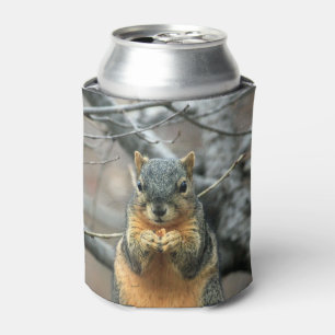 Eichhörnchen, das eine Nuss isst Dosenkühler