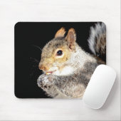 Eichhörnchen, das eine Nuss isst Mousepad (Mit Mouse)