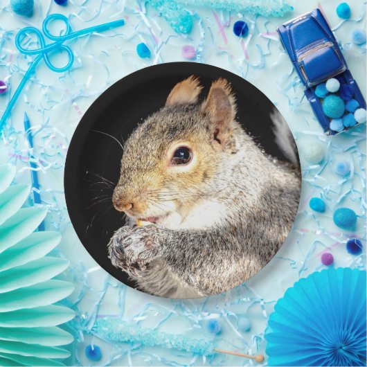 Eichhörnchen, das eine Nuss isst Pappteller (Party)