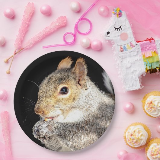 Eichhörnchen, das eine Nuss isst Pappteller (Party)