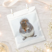 Eichhörnchen, das eine Nut Niedlich isst Geschenktütchen (Ausgeschnitten)