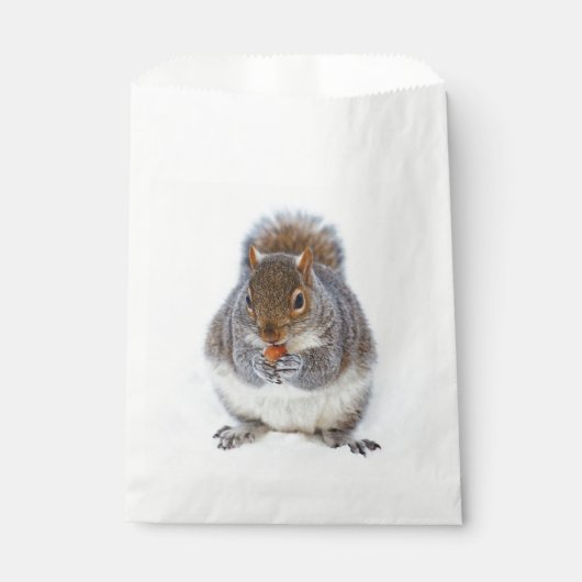 Eichhörnchen, das eine Nut Niedlich isst Geschenktütchen (Vorderseite)
