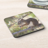 Eichhörnchen, das einen Kiefernkegel 2 isst Untersetzer (Linke Seite)