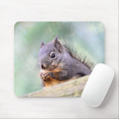 Eichhörnchen, das für Erdnüsse betet Mousepad (Mit Mouse)