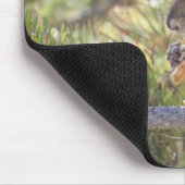 Eichhörnchen, das Kiefernzapfen 2 isst Mousepad (Ecke)