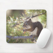 Eichhörnchen, das Kiefernzapfen 2 isst Mousepad (Mit Mouse)
