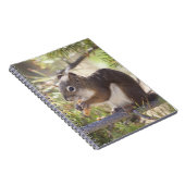 Eichhörnchen, das Kiefernzapfen 2 isst Notizblock (Rechte Seite)