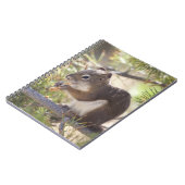 Eichhörnchen, das Kiefernzapfen 2 isst Notizblock (Linke Seite)