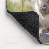 Eichhörnchen, das Kiefernzapfen isst Mousepad (Ecke)