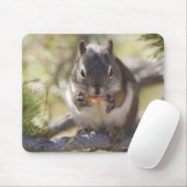 Eichhörnchen, das Kiefernzapfen isst Mousepad (Mit Mouse)