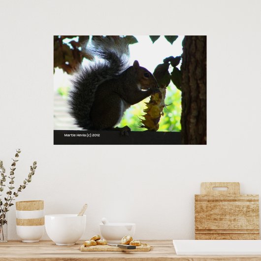 Eichhörnchen, das Sonnenblumen isst Poster (Küche)