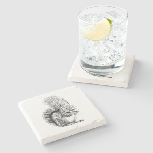 Eichhörnchen, das SteinUntersetzer zeichnet (Seitenansicht)