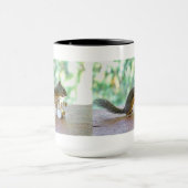 Eichhörnchen, das Trommeln spielt Tasse (Zentrum)