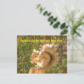 Eichhörnchen Day Brightener Postkarte (Stehend Vorderseite)