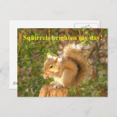 Eichhörnchen Day Brightener Postkarte (Vorne/Hinten)