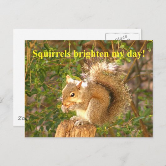 Eichhörnchen Day Brightener Postkarte (Vorne/Hinten)