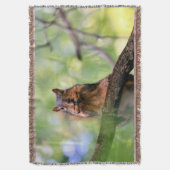 Eichhörnchen Decke (Vorderseite Vertikal)