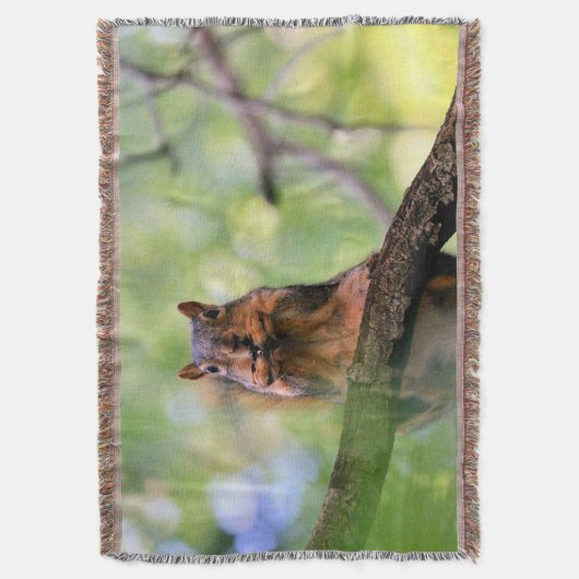 Eichhörnchen Decke (Vorderseite Vertikal)