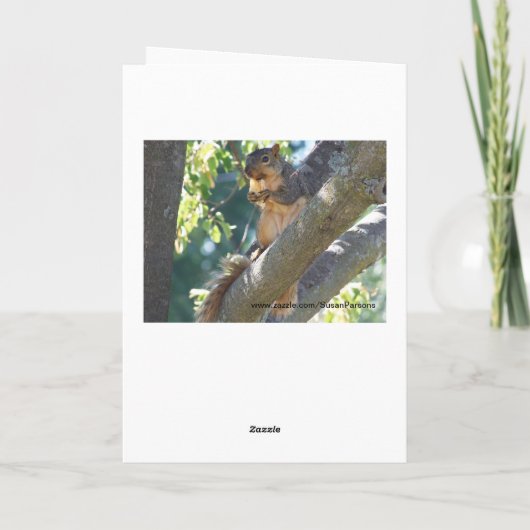 Eichhörnchen, denken Sie Karte (Rückseite)