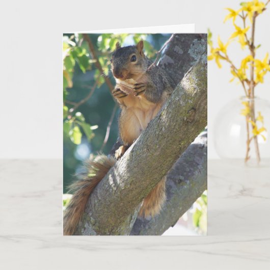 Eichhörnchen, denken Sie Karte (Gelbe Blume)