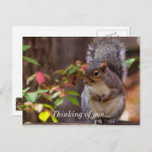 Eichhörnchen denkt geduldig an euch Postkarte (Vorne/Hinten)