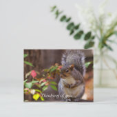 Eichhörnchen denkt geduldig an euch Postkarte (Stehend Vorderseite)