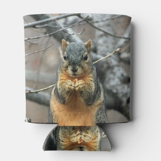 Eichhörnchen, der eine Nut isst Dosenkühler (Rückseite)