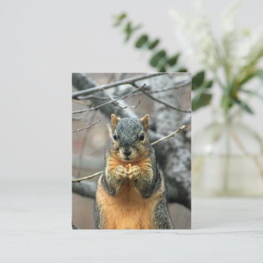 Eichhörnchen, der eine Nut isst Postkarte (Stehend Vorderseite)