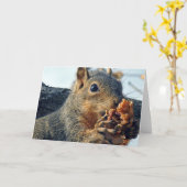 Eichhörnchen, die Äpfel essen Karte (Gelbe Blume)