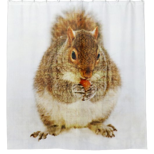 Eichhörnchen, die einen Acorn genießen Duschvorhang (Vorderseite)