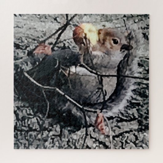 Eichhörnchen, die einen Apfel essen Puzzle (Horizontal)