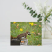 Eichhörnchen-Dieb Postkarte (Stehend Vorderseite)