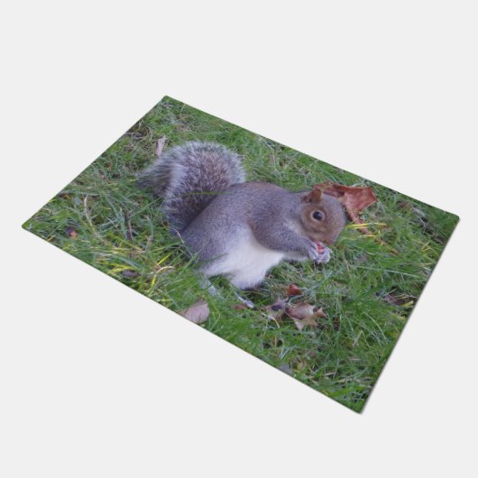 Eichhörnchen Door Mat Fußmatte (Schrägansicht)
