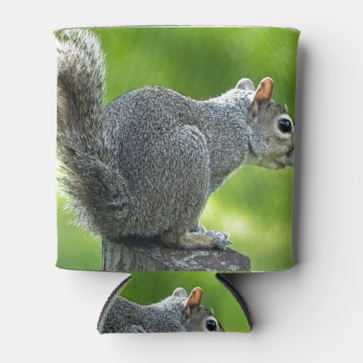 Eichhörnchen Dosenkühler (Vorderseite)