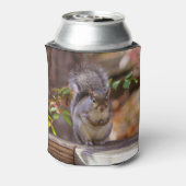 Eichhörnchen Dosenkühler (Kanne Rückseite)
