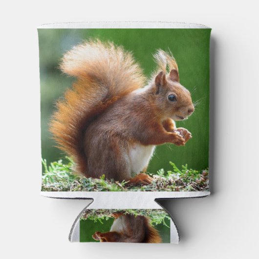 Eichhörnchen Dosenkühler (Rückseite)